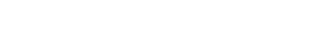 Born Digital Inc.