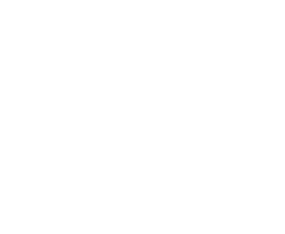 P.I.C.S.