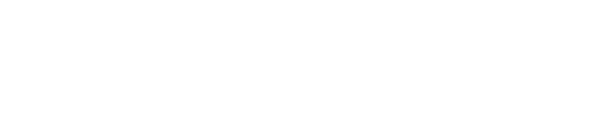 VIDEO SALON